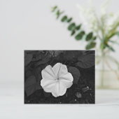 Carte postale Moon Flower (Debout devant)