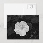 Carte postale Moon Flower (Devant / Derrière)