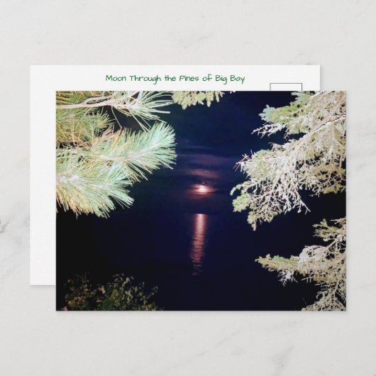 Carte postale Moon Through the Pines of Big Bay 20 (Devant / Derrière)