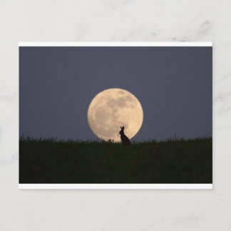 Carte Postale Moongazer