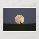 Carte Postale Moongazer (Devant)