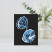 Carte Postale MoonJellyfish aquarelle art (Debout devant)