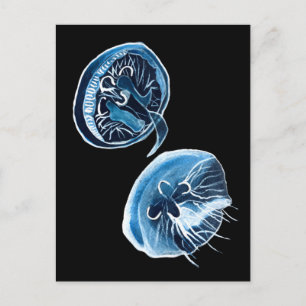 Carte Postale MoonJellyfish aquarelle art