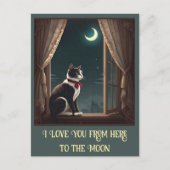 CARTE POSTALE " MOONLIT WHISKERS " (Devant)