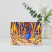 Carte postale Moorhen (Debout devant)