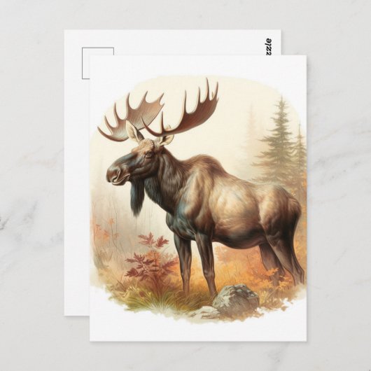 Carte Postale Moose aquarelle (Devant / Derrière)