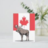 Carte Postale Moose Canada (Debout devant)