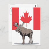 Carte Postale Moose Canada (Devant / Derrière)