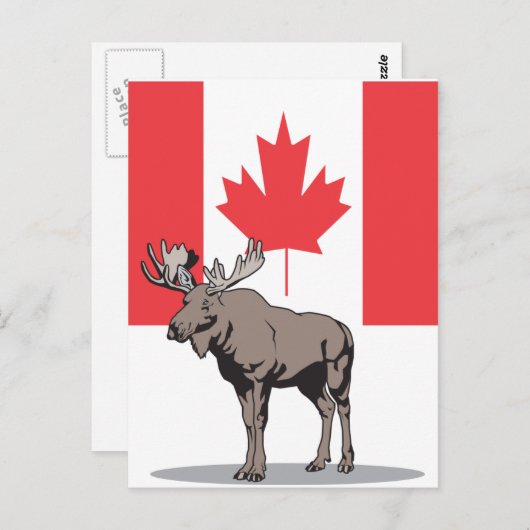 Carte Postale Moose Canada (Devant / Derrière)