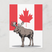 Carte Postale Moose Canada (Devant)