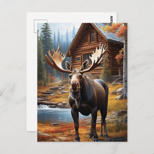 Carte Postale *~* MOOSE Stream Nature Cabine Forest AP49 (Devant / Derrière)