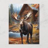 Carte Postale *~* MOOSE Stream Nature Cabine Forest AP49 (Devant)