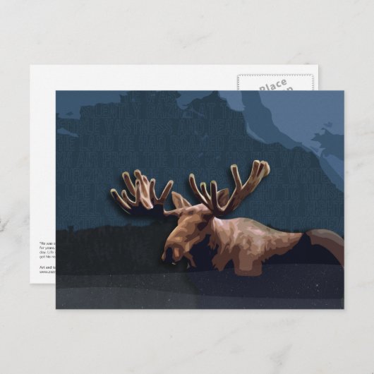 Carte postale Moose Talk (Devant / Derrière)