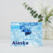 Carte Postale Moose urbaine (Debout devant)