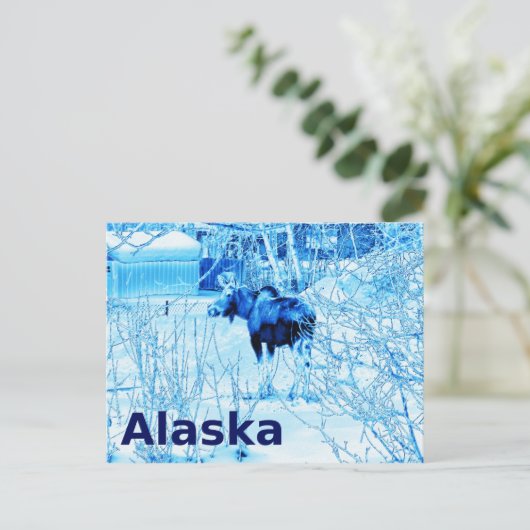 Carte Postale Moose urbaine (Debout devant)