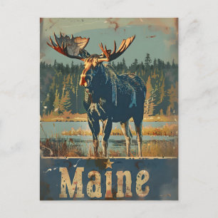 Carte Postale Moose vintage du Maine