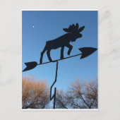 Carte Postale Moose weathervane (Devant)