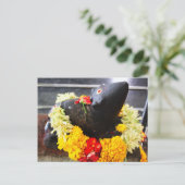 Carte Postale Mooshika (Debout devant)