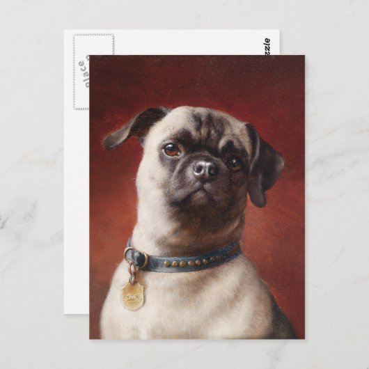 Carte postale Mops (Devant / Derrière)