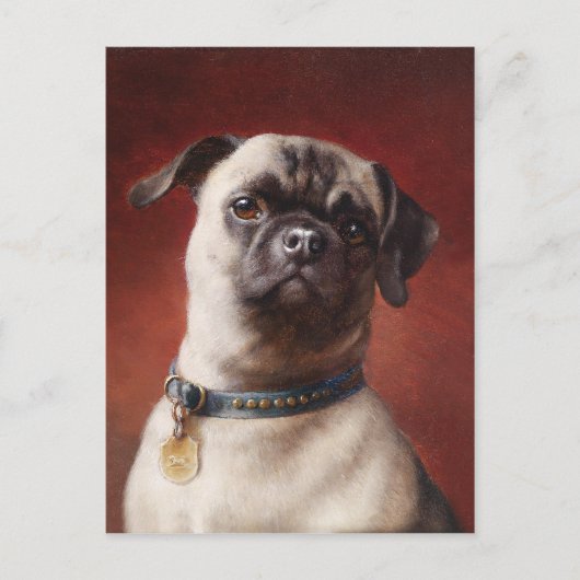 Carte postale Mops (Devant)