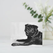 Carte Postale Mops (Debout devant)