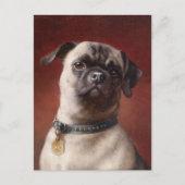 Carte Postale Mops | Carl Reichert (Devant)