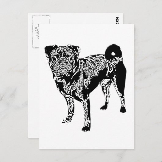 Carte Postale Mops Jack monochrom (Devant / Derrière)
