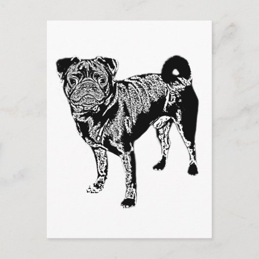 Carte Postale Mops Jack monochrom (Devant)