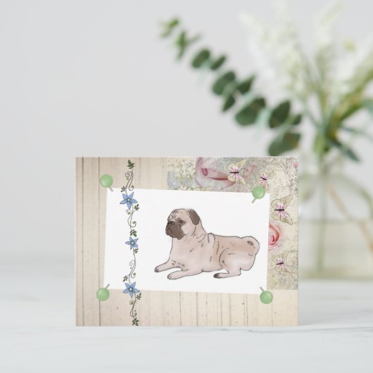 Carte Postale Mops vintages (Debout devant)