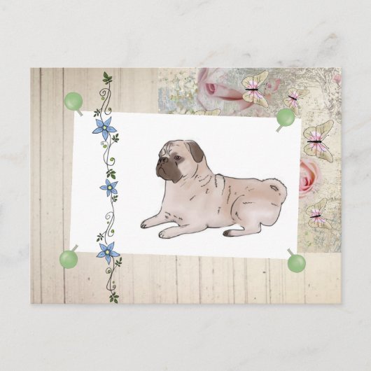 Carte Postale Mops vintages (Devant)