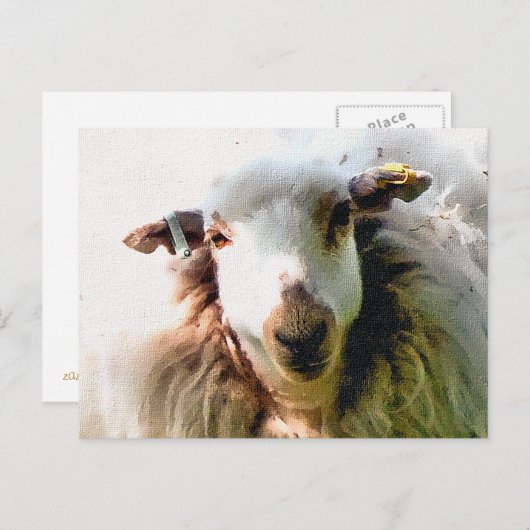 CARTE POSTALE MOQUETTE (Devant / Derrière)