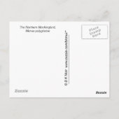 Carte postale - Moqueur (Dos)