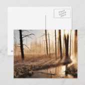 Carte Postale Morceau de Yellowstone gelé (Devant / Derrière)