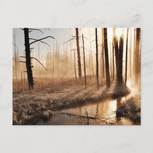 Carte Postale Morceau de Yellowstone gelé (Devant)