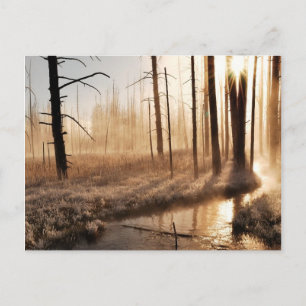 Carte Postale Morceau de Yellowstone gelé