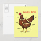 Carte Postale Morceaux de poulet (Devant / Derrière)
