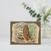 Carte Postale Morel Mushroom (Debout devant)