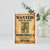 Carte Postale Morel - Poster Recherché (Debout devant)