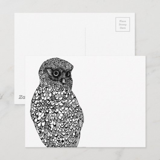 Carte postale Morepork (Devant / Derrière)