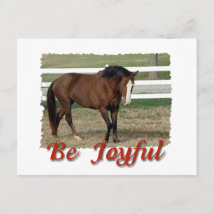 Carte Postale Morgan Horse secouru : Soyez Joyeux