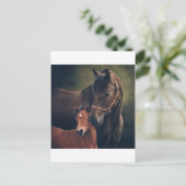 Carte Postale Morgan Mare et Foal (Debout devant)