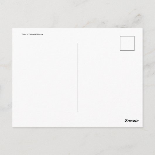 Carte Postale Moring Dove (Dos)