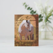 CARTE POSTALE MORISCO DANS LA FENÊTRE (Debout devant)