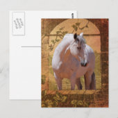 CARTE POSTALE MORISCO DANS LA FENÊTRE (Devant / Derrière)