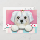 CARTE POSTALE MORKIE SHELLY (Devant / Derrière)