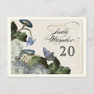 Carte Postale Morning Glory Hydrangea - Nombre de sièges de tabl