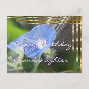 Carte postale Morning Glory pour toutes les occasi