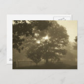 Carte Postale Morning Mist (Devant / Derrière)