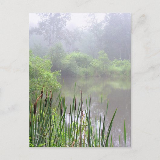 Carte Postale Morning Mist sur l'étang (Devant)