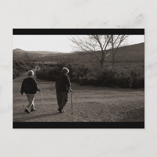 Carte Postale "Morning Walk, Carson City" (Devant)